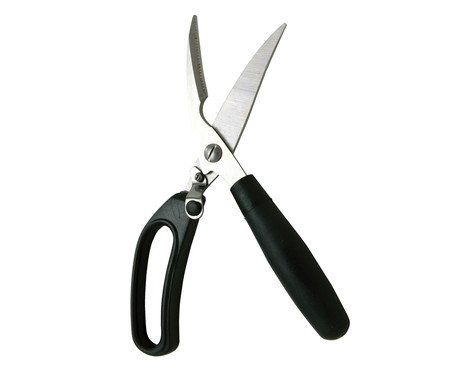 Tesoura para Frango em Inox Lia | Westwing