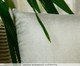 Capa de Almofada 347 em Veludo e Recorte Luxor - 43X43cm, beige | WestwingNow