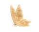 Borboleta Decor Luz Alada 110V, gold | WestwingNow