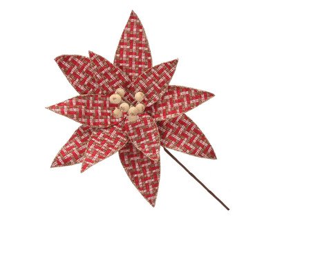 Flor Natalina Brisa Florida | Westwing