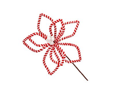 Flor Natalina Estrela da Terra | Westwing