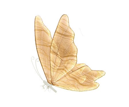 Borboleta Decor Luz Viva 220V | Westwing