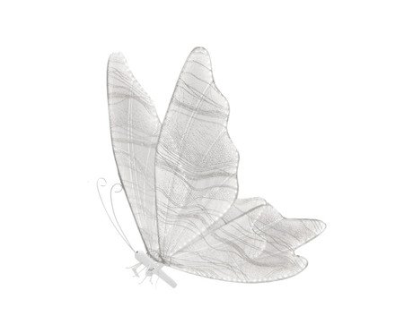Borboleta Decor Centelha Alada 220V | Westwing
