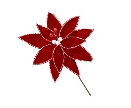 Flor Natalina Flor de Inverno | Westwing