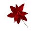 Flor Natalina Flor Celestial, red | WestwingNow