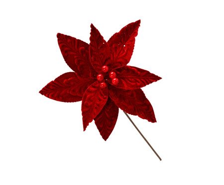 Flor Natalina Flor Celestial | Westwing