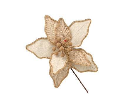Flor Natalina Estrela Coral
