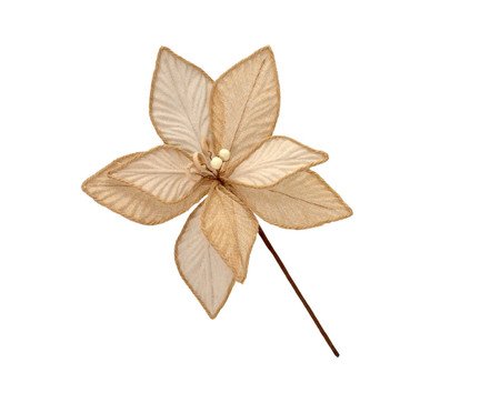 Flor Natalina Brisa Invernal | Westwing