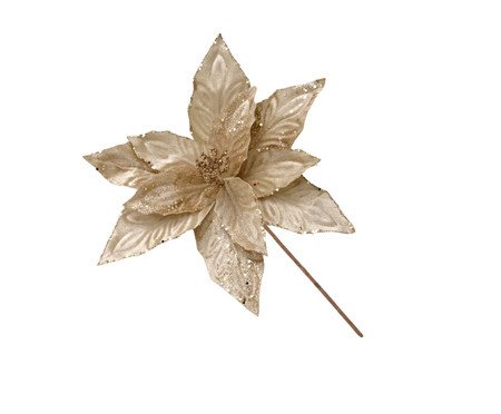 Flor Natalina Estrela Floral | Westwing