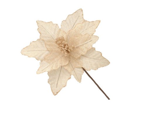 Flor Natalina Pétala Rubra, beige | WestwingNow