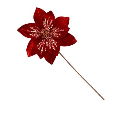Flor Natalina Estrela Congelada | Westwing