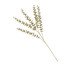 Galho Natalino Ramo Glacial, beige | WestwingNow