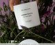 Vela Perfumada Lavanda Francesa - 200gr, white | WestwingNow