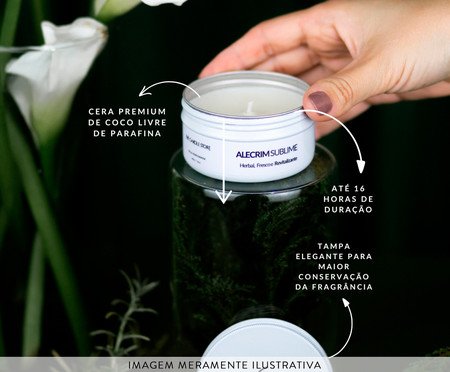 Vela Perfumada Alecrim Sublime - 90gr | Westwing