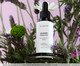 Essência Concentrada Lavanda Francesa - 30ml, white | WestwingNow