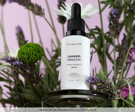 Essência Concentrada Lavanda Francesa - 30ml | Westwing