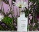 Essência Concentrada Lavanda Francesa - 30ml, white | WestwingNow
