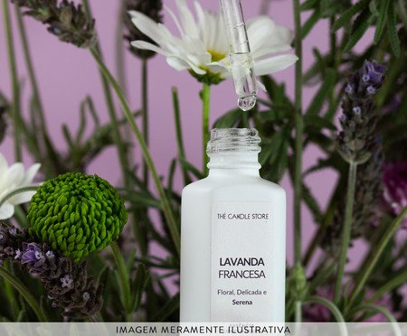 Essência Concentrada Lavanda Francesa - 30ml | Westwing