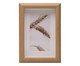 Porta-retrato de MDF Nuts, Bege | WestwingNow