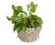 Cachepot Pantanal, Cru | WestwingNow