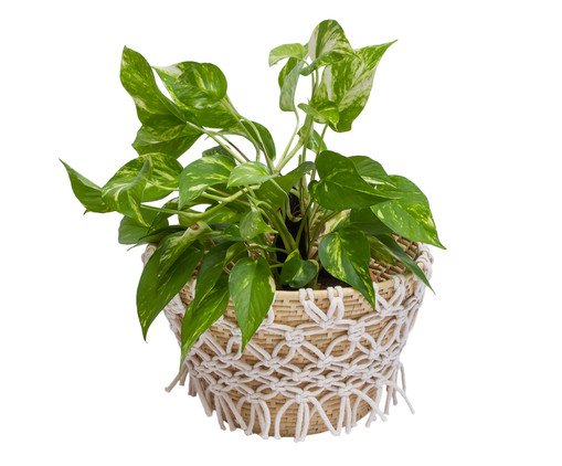 Cachepot Pantanal, Cru | WestwingNow