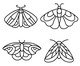 Jogo de Placas Decorativas Mariposas, Preto | WestwingNow