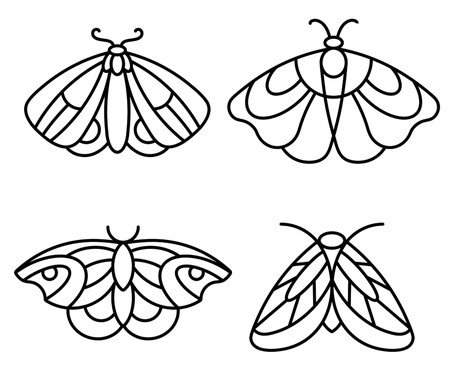 Jogo de Placas Decorativas Mariposas | Westwing