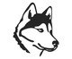 Decorativo de Parede Husky, Preto | WestwingNow