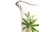 Jarra de Cristal Ecológico Palm Tree Handpaint, Colorido | WestwingNow