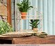 Prateleira Fiber, Natural | WestwingNow