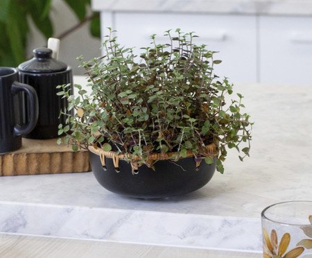 Jogo de Bowls Duo Rattan Preto | Westwing