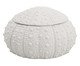 Pote Decorativo Galleta Branco Médio, white | WestwingNow