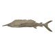 Adorno Decorativo de Peixe Aquatique Marrom, brown | WestwingNow