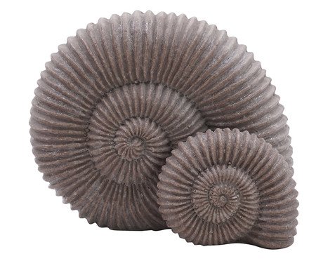 Adorno Decorativo Conchas Ammonite Cinza | Westwing