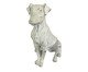 Adorno Decorativo Cachoro Parté II Branco, grey | WestwingNow
