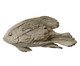 Adorno Decorativo de Peixe Pinna Marrom, brown | WestwingNow