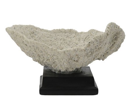 Adorno Decorativo de Coral Turbinaria Bege | Westwing