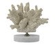 Adorno Decorativo de Coral Divers Bege, beige | WestwingNow