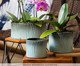 Vaso Mar Esmaltado Azul Nevoa, Azul | WestwingNow