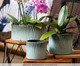 Vaso Mar Esmaltado Azul Nevoa, Azul | WestwingNow