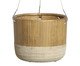 Vaso Pendente Madeira Textura, Madeira | WestwingNow