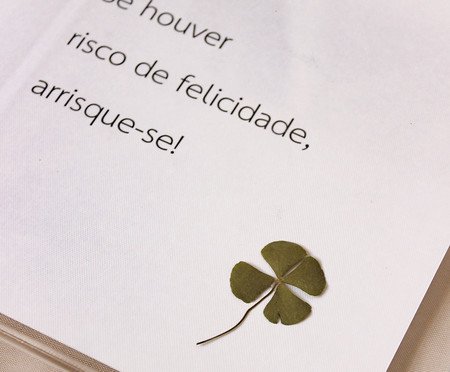 Quadro em Acrílico 