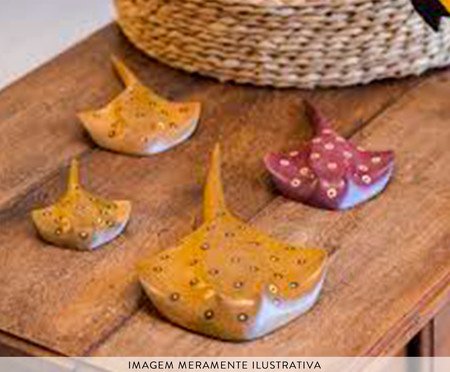 Arraia Amazônica em Marchetaria Vinho M | Westwing