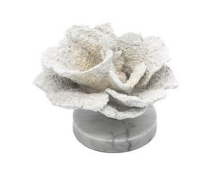 Coral em Resina e Mármore Branco | Westwing