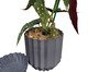 Vaso com Prato Vinco Grande Cinza Chumbo, white | WestwingNow