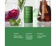 Desodorante Intensivo Verbena e Cedro, green | WestwingNow