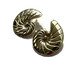 Brinco Caracol - Dourado, gold | WestwingNow