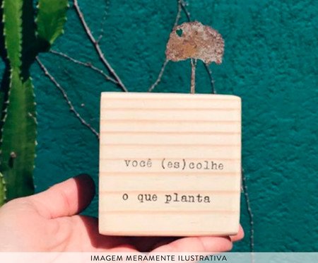 Cubo - Você (Es)Colhe o que Planta | Westwing
