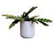 Vaso Guarani com Dispenser Branco Marmorizado, white | WestwingNow