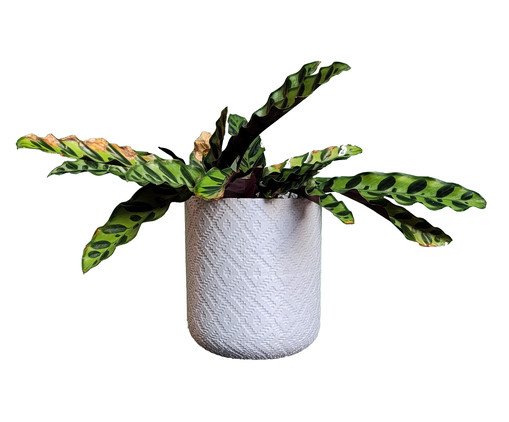 Vaso Guarani com Dispenser Branco Marmorizado, white | WestwingNow